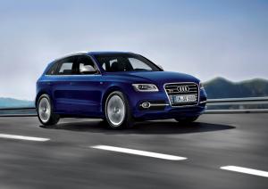 Audi SQ5 TDI 2013 года  (WW)